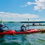 Half-Day Orleans Island Small-Group Sea Kayaking Tour - The Value of the Experience