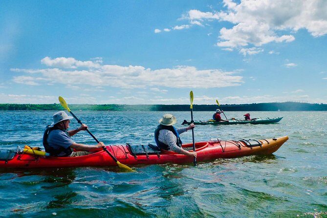 Half-Day Orleans Island Small-Group Sea Kayaking Tour - The Value of the Experience