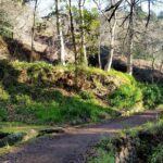 Half-Day Paradise Valley Walking Tour - The Real Value for Travelers