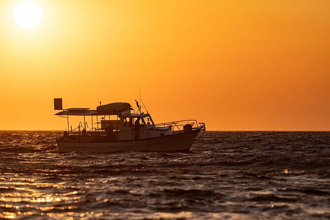 Half Day Private Cruise from Pollonia to Polyaigos - What Makes This Tour Stand Out?