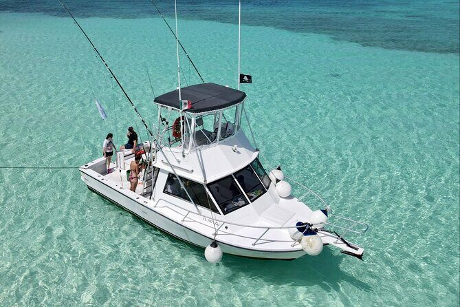 Half Day Private Fishing Charter in Cozumel - Who Is This Tour Best For?