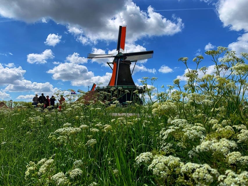 Half-Day Private Guided Sightseeing Tour of Zaanse Schans - The Guide and Overall Experience