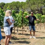 Half-Day Private Local Honey, Olive Oil & Winery Visit - An In-Depth Look at What the Tour Offers