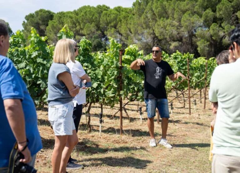 Half-Day Private Local Honey, Olive Oil & Winery Visit - An In-Depth Look at What the Tour Offers