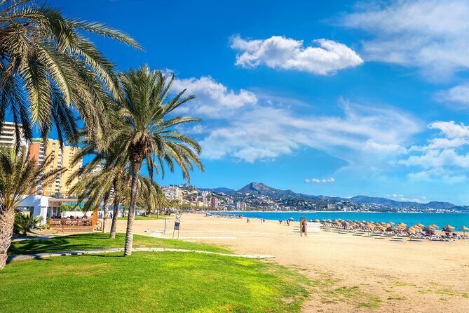 Half-Day Private Taxi Tour to Malaga Historic Center - How the Experience Might Play Out