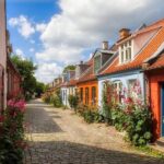 Half Day Private Tour of Aarhus Like a Local - Who Will Love This Tour?