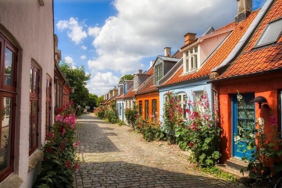Half Day Private Tour of Aarhus Like a Local - Who Will Love This Tour?