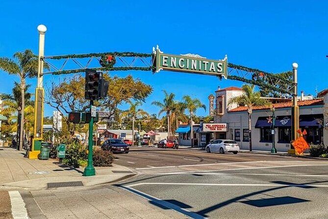 Half Day Self Guided Electric Bike Tour of North San Diego Coast - Who Is This Tour Best For?