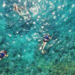 Half day speedboat tour to Solta island & Blue Lagoon from Trogir - Price and Value