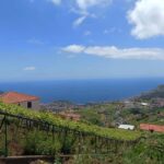 Half Day Tour 4x4 Camara de Lobos Glass Botton View - A Close Look at the Tour Experience