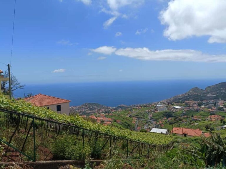 Half Day Tour 4x4 Camara de Lobos Glass Botton View - A Close Look at the Tour Experience