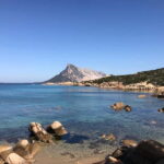 Half-day tour by dinghy in the Tavolara Marine Protected Area - The Practicalities: Whats Included and Whats Not