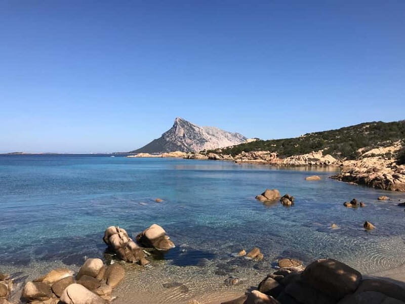 Half-day tour by dinghy in the Tavolara Marine Protected Area - The Practicalities: Whats Included and Whats Not