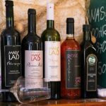 Half Day Tour - Deep and Dark Red Wine of Peljeac - What You Can Expect from the Tour Experience