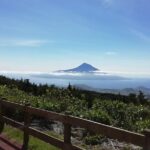 Half Day Tour  Natural Highlights of Faial Island - The Practical Side: Transportation, Timing, and Group Size