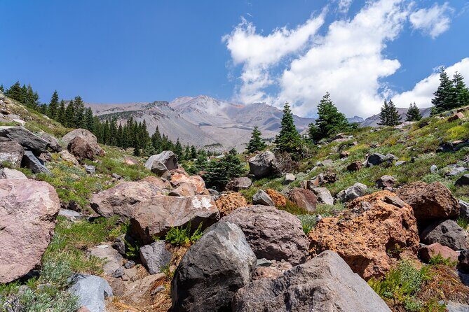 Half Day Tour to Faery Waterfalls, Castle Lake and Mount Shasta - What Do Travelers Say?