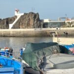 Half Day Tour with Madeira Wine Tasting - What Makes This Tour Stand Out?