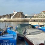 Half Day tour with Madeira Wine tasting - Who Would Enjoy This Tour?