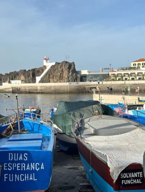 Half Day tour with Madeira Wine tasting - Who Would Enjoy This Tour?