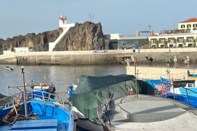 Half Day Tour with Madeira Wine Tasting - What Makes This Tour Stand Out?