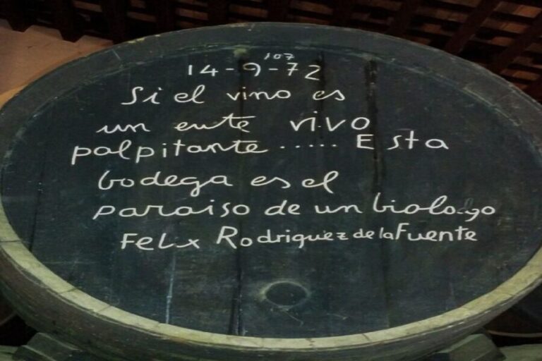 Half-Day Wine Tour in Andalusia in small group - Practical Tips and Considerations