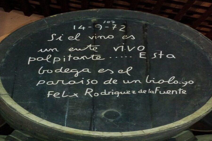 Half-Day Wine Tour in Andalusia in small group - Practical Tips and Considerations