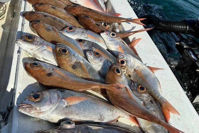 Half-seabed or rod fishing tour with bolentino - Practical Details & How It Adds Up