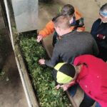 Hallertau experience with hop harvest, lunch and hop museum - Who Will Love This Tour?