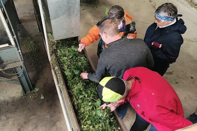Hallertau experience with hop harvest, lunch and hop museum - Who Will Love This Tour?
