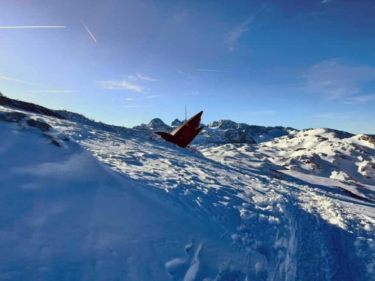 Hallstatt: Panoramic Snowshoe Hike to Heilbronner Cross - What to Expect: Practical Insights