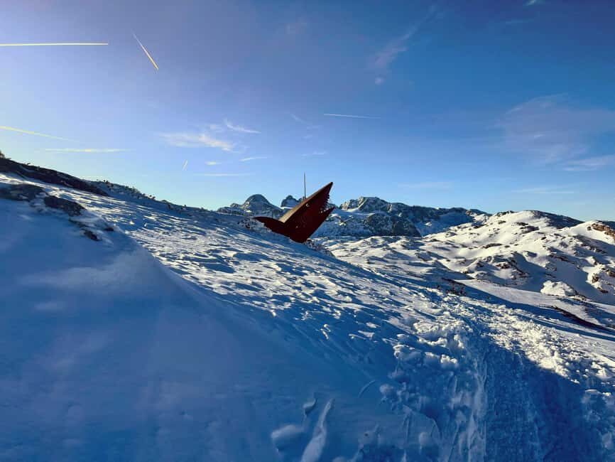 Hallstatt: Panoramic Snowshoe Hike to Heilbronner Cross - What to Expect: Practical Insights