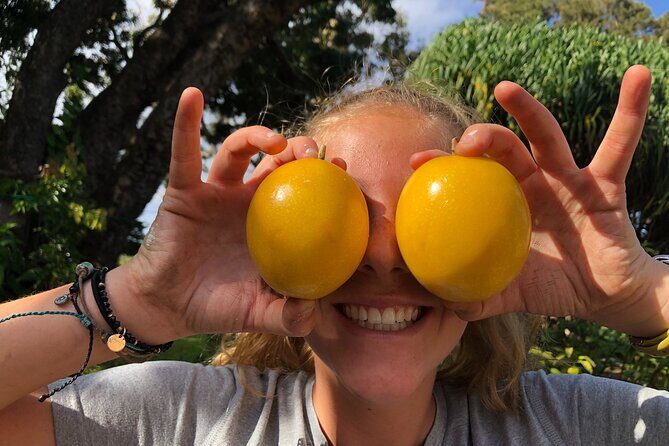 Hamakua Coast Farm Small-Group Walking and Tasting Tour - What the Tour Includes and What to Expect