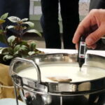 Hamburg: Mozzarella course with accompanying wines - What’s Included in the Tour