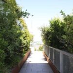 Hamburg: St. Pauli's "Green Bunker" Tour  above the rooftops of Hamburg - Practical Tips