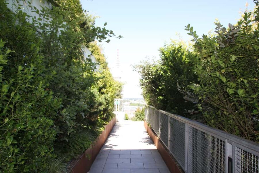 Hamburg: St. Pauli's "Green Bunker" Tour  above the rooftops of Hamburg - Practical Tips