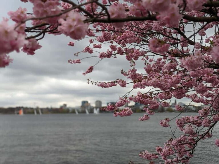 Hamburg Van Tour - Spring Special - The Itinerary Breakdown