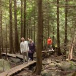 Hämeenlinna: Aulanko Park Forest Guided Walking Tour - Practical Details and Tips