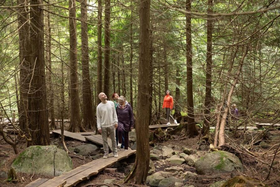 Hämeenlinna: Aulanko Park Forest Guided Walking Tour - Practical Details and Tips