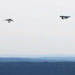 Hang Gliding Tandem Adventure 1500 - Who Will Love This Tour?