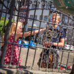 Hanover: City tour for children/teenager - Who Is This Tour Best For?