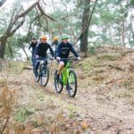 Harderwijk: Mountain Bike Rental on the Veluwe - The Routes and the Riding Experience