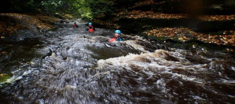 Harrogate: How Stean 3 in 1 Experience - Who Will Love This Experience?