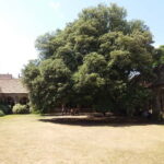 Harry Potter Tour New College Private Group Tour - Value for Money and Overall Experience