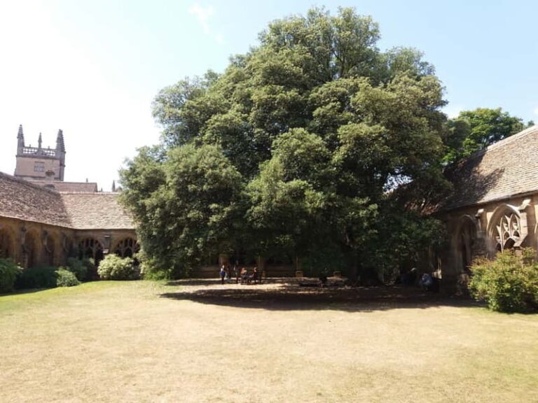 Harry Potter Tour New College Private Group Tour - Value for Money and Overall Experience