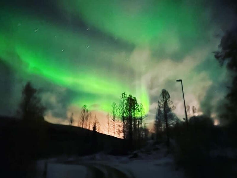 Harstad/Narvik: Northern Lights Tours with second day chance - Who Should Consider This Tour?