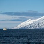 Hauganes: Whale Watching North Iceland - Who Is This Tour Best For?