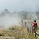 Hawaii Volcanoes National Park Experience From the Big Island - Practical Details: What to Expect