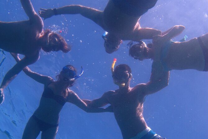 Hawaiian Canoe Sailing Experience in Maui - What You Can Expect During the Tour