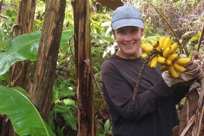 Hawaiian Rainforest Banana Cultivation Experience - What to Expect During Your Visit