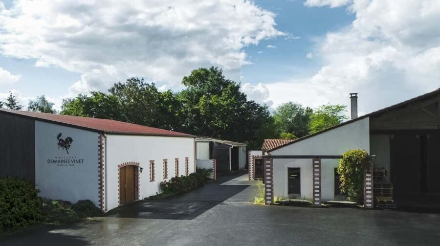 Haye-Fouassière: Visit and wine tasting at a family estate - Key Points